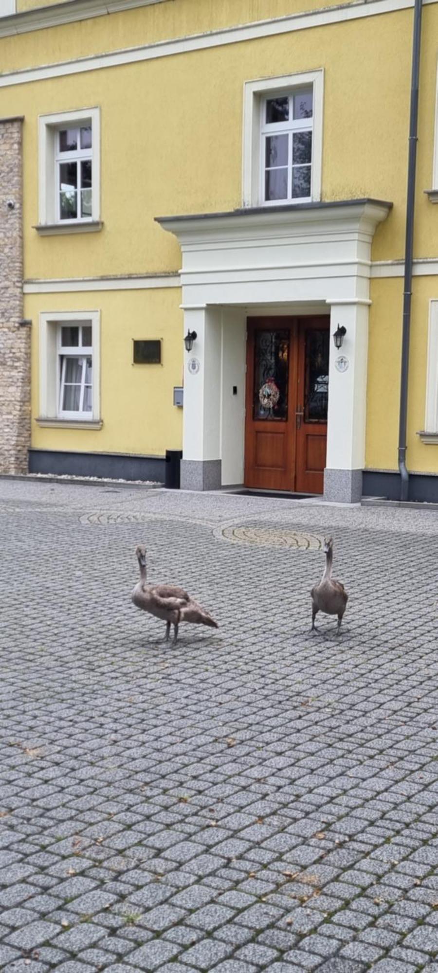 Palac Lucja Bb Zakrzow  ภายนอก รูปภาพ
